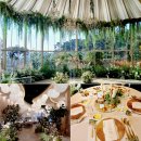 문하우스 | [부산/기장] ‘파티더풀문’ 하우스 웨딩 하객 후기 (분위기+음식 간단 정리)