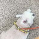 퍼니펫 동물병원 이미지