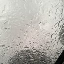 날마다소풍 | [부천 소풍컨벤션웨딩] 웨딩홀 투어 및 상담 후기 (2026년 하반기 견적 공유, 계약 X)