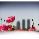 형제빌딩 이미지