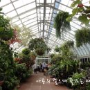 보타니칼 이미지