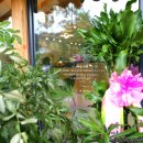 문수우체국(앞) 이미지