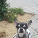 멍몽's 네이버블로그
