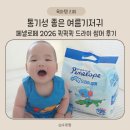수호디자인연구소 | 얇고 가벼운 여름기저귀｜페넬로페 2026 퀵퀵퀵 드라이 썸머 후기
