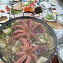 문어시대 이미지