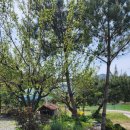 월현농장 이미지