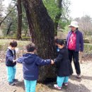 장승초등학교(병설) 이미지
