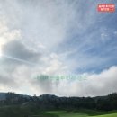 세컨더블비 이미지