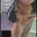 이개누구개 | 마음껏, 온 마음을 바닥까지 마음껏 박박 긁어서 다 꺼내어 사랑해도 되는 시절