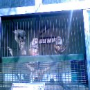 진주 외할머니댁에 있는 동물원... 하하하 이미지