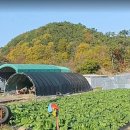 어물보건진료소 이미지