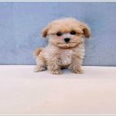 복덩이 건강센터 네이버블로그