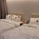 브라운도트강릉역점 이미지