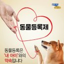 헤세드동물병원 이미지