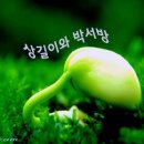 상길 이미지