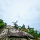 작은동산 거북바위,외솔바위,무쏘바위(남근석),구글어스 이미지