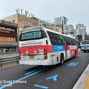 부산여객 이미지