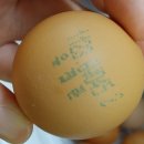 해오름팜 이미지