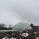 스마트한 유튜브 크리에이터 | ✈️ 일본 이심 추천|유심사 50% 할인 방법 공유 with 세시간전