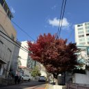 더 나타스 클럽 THE NATA's CLUB | 부산 남천동 에그타르트맛집 추천 더나타스클럽 포르투갈식 에그타르트