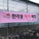 스테이르브아