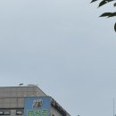 남양도서관 4층 | 화성 남양 뉴 캠핑존 게장,생선구이 참 잘하는 집...순살양념게장비빔밥, 불 쭈꾸미 덮밥, 물냉면 후기 !