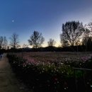 밤나무지역아동센터 이미지