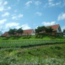 오박사마을 이미지