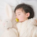 디소피19