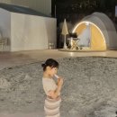 놀면묘하냥 고양이카페 이미지