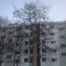 원동목욕탕 이미지