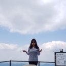 버스정류장 07-246 이미지