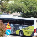 산호동164 이미지