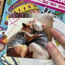 수원역 일본 킷사텐 카페 레오즈커피샵 호지푸딩 후기