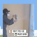 가재 우림필유 이미지