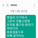 이효주의 싱싱라디오 이미지