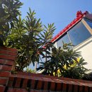 송해(송海)횟집 | 하단 송해횟집(202-9939)