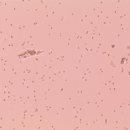 키다리 동물병원 이미지