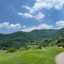 푸른솔GC 이미지