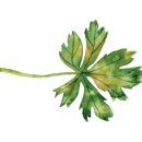 카페룰루랄라 이미지