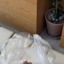 방배천로6길 3-4 이미지