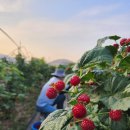 송원농장2 이미지