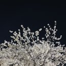 신동근린공원 쪽 이미지