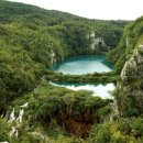 자연하모니 이미지