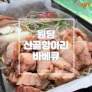 공양왕길 | [고양/원당] 캠핑분위기나는 반려견 동반가능 고양맛집 '산골항아리바베큐 원당점' 솔직후기