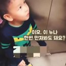 강아지 이모 이미지