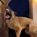 진주에서 만나는 봉황의 첫번째 흔적은? 이미지