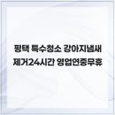 평택유품정리화재청소특수청소 네이버블로그