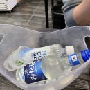 달림활어 네이버블로그