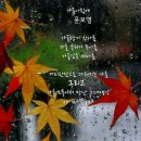 디자인시기